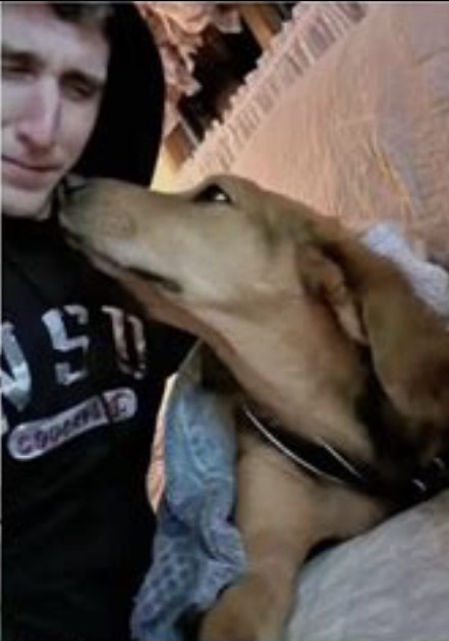 Bryan Kohberger with his dog Scout